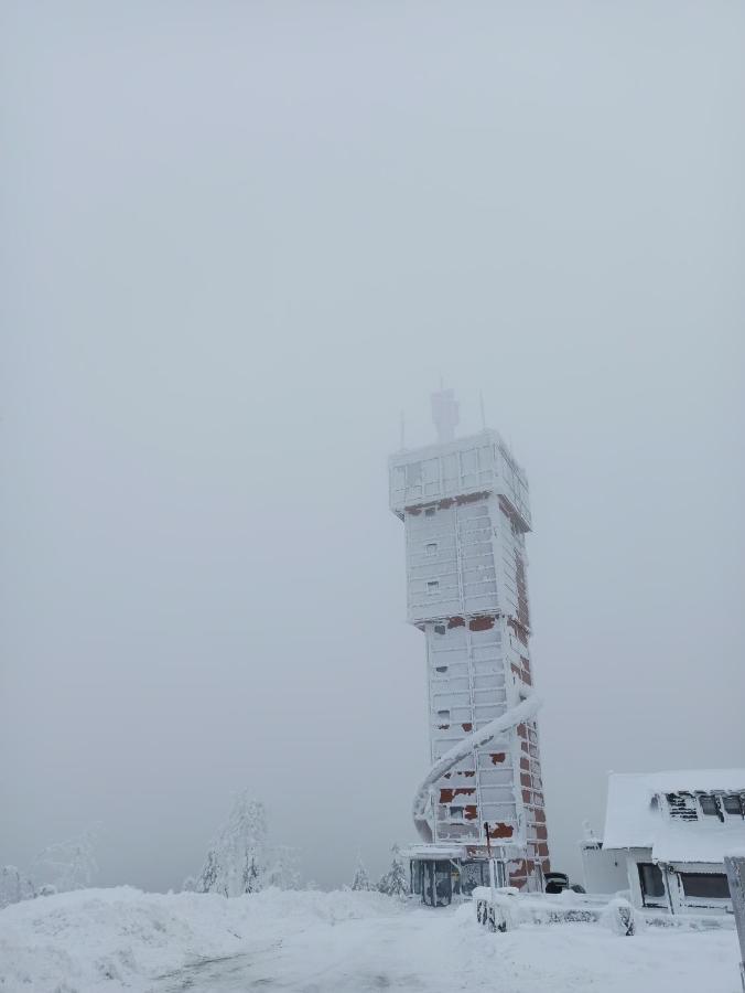 Walpurgis Hexe Διαμέρισμα Braunlage Εξωτερικό φωτογραφία