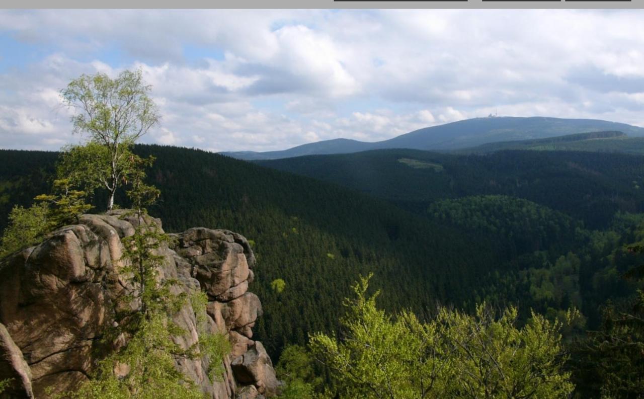 Walpurgis Hexe Διαμέρισμα Braunlage Εξωτερικό φωτογραφία