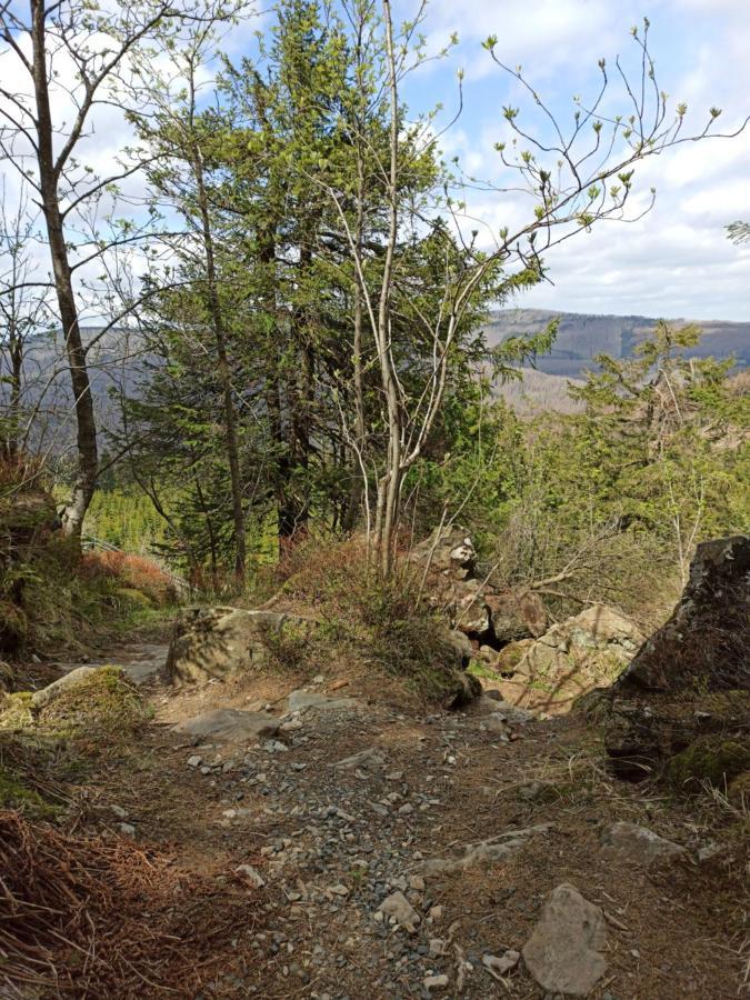 Walpurgis Hexe Διαμέρισμα Braunlage Εξωτερικό φωτογραφία